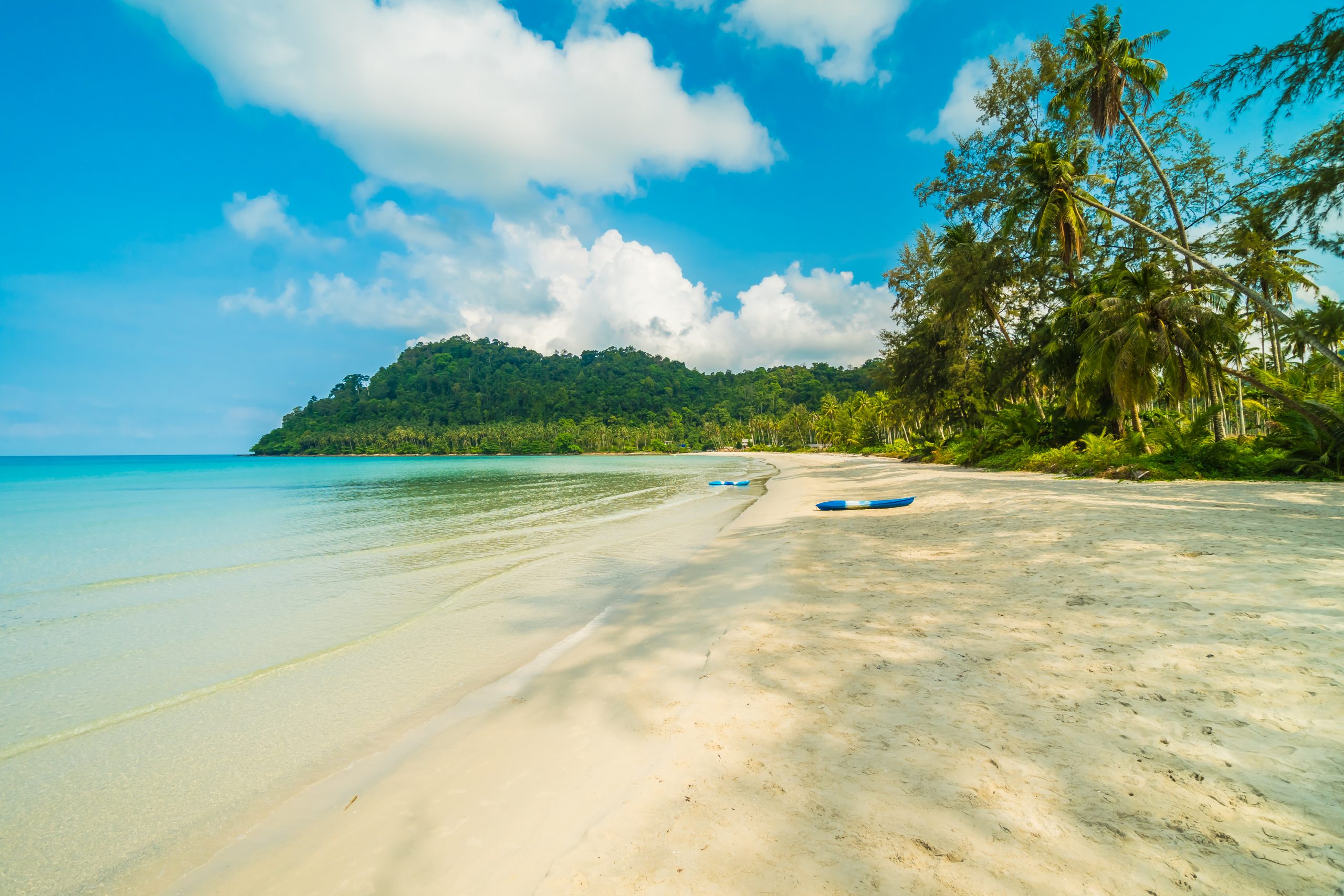 Beautiful tropical beach and sea with coconut palm tree in parad